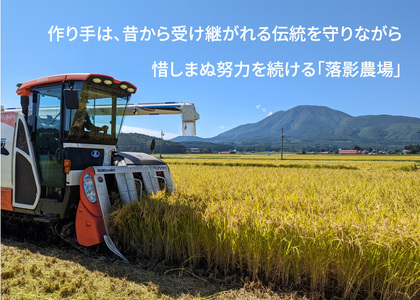 【定期便】令和6年産新米「信濃町産コシヒカリ５キロ×３ヶ月」11月半ば以降出荷｜落影農場のコンクール金賞受賞米【長野県信濃町ふるさと納税】