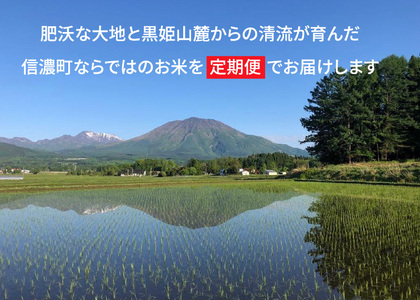 【定期便】令和6年産新米「信濃町産コシヒカリ５キロ×３ヶ月」11月半ば以降出荷｜落影農場のコンクール金賞受賞米【長野県信濃町ふるさと納税】