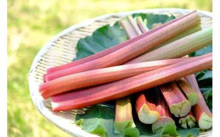 【ふるさと納税】ぶんぶく亭 信濃町特産の真っ赤な「RedStoneRhubarb」を贅沢に使った濃厚「ルバーブジュース」 1L×4本セット【長野県信濃町】