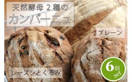 【ふるさと納税】　黒姫高原『パン小舎（pangoya）のカンパーニュ＆レーズンとくるみのパン  6点詰め合わせ』自家製天然酵母パン｜長野県産ゆめかおり使用【長野県信濃町】　