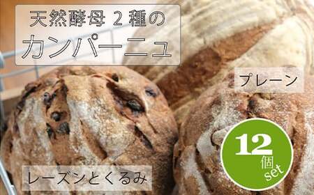 【ふるさと納税】　黒姫高原『パン小舎（pangoya）のカンパーニュ＆レーズンとくるみのパン  12点詰め合わせ』自家製天然酵母パン｜長野県産ゆめかおり使用【長野県信濃町】　