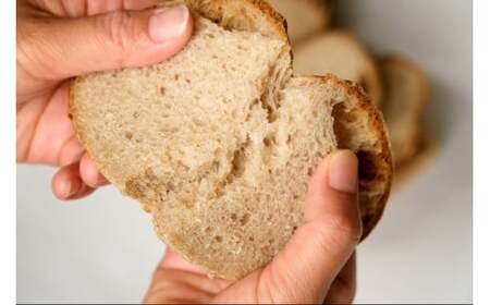 【ふるさと納税】　黒姫高原『パン小舎（pangoya）のカンパーニュ＆レーズンとくるみのパン  12点詰め合わせ』自家製天然酵母パン｜長野県産ゆめかおり使用【長野県信濃町】　