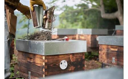 【ふるさと納税】BIYAJIMA BEE FARM『季節の完熟生はちみつ 一瓶280g×2個』北信濃の大自然がぎゅっとつまった、完全非加熱・無農薬・除草剤、防腐剤不使用の国産天然蜂蜜【長野県信濃町】