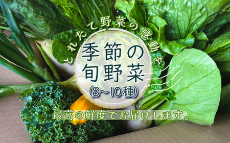 【長野県 信濃町 みつぶ農園/夫婦で営む小規模農園】季節の旬野菜1箱（8~10品） ≪収穫後は過度な水洗いを控え、できる限り野菜に与える負担を最小限に採れたての状態を保ち、最高の鮮度でお届けします！≫ 動物性たい肥・自家製ボカシ肥・地域に棲みついている多種多様な土着菌を用い、生き物(微生物)たちからの恩恵を最大限活かした自然循環の中で、滋味に富む野菜を育てています。【長野県 信濃町 ふるさと納税】