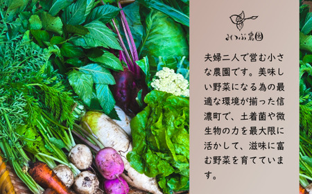 【長野県 信濃町 みつぶ農園/夫婦で営む小規模農園】季節の旬野菜1箱（8~10品） ≪収穫後は過度な水洗いを控え、できる限り野菜に与える負担を最小限に採れたての状態を保ち、最高の鮮度でお届けします！≫ 動物性たい肥・自家製ボカシ肥・地域に棲みついている多種多様な土着菌を用い、生き物(微生物)たちからの恩恵を最大限活かした自然循環の中で、滋味に富む野菜を育てています。【長野県 信濃町 ふるさと納税】