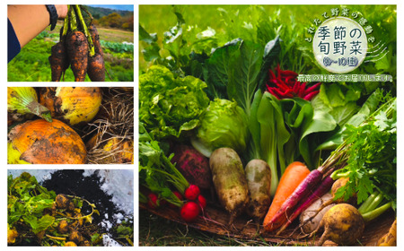 【長野県 信濃町 みつぶ農園/夫婦で営む小規模農園】季節の旬野菜1箱（8~10品） ≪収穫後は過度な水洗いを控え、できる限り野菜に与える負担を最小限に採れたての状態を保ち、最高の鮮度でお届けします！≫ 動物性たい肥・自家製ボカシ肥・地域に棲みついている多種多様な土着菌を用い、生き物(微生物)たちからの恩恵を最大限活かした自然循環の中で、滋味に富む野菜を育てています。【長野県 信濃町 ふるさと納税】