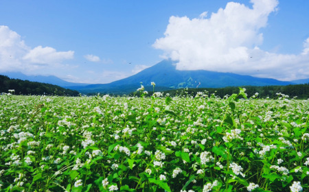 【長野県 信濃町 / 農事組合法人 信濃富士そば農場】限定200食 一茶の里の生(ナマ)そば ≪200g(そばつゆ2袋)×5袋≫【長野県 信濃町 ふるさと納税】