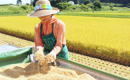 【新米・あきたこまち／令和七年度 信濃町産】2025年秋収穫のあきたこまち新米 10㎏（精米済み白米） 豪雪地帯の雪解け水と標高700ｍの寒暖差が引き出す、お米の「旨みと甘み」をぜひご賞味ください。炊きたてはもちろん、冷めても粘りが強く、ツヤや光沢と共に、甘みや風味が良く硬くなりにくいため、お弁当やおにぎりにも最適です。【長野県 信濃町 ふるさと納税／お米と野菜のおがわ】