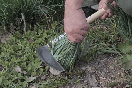 信州信濃町古間の手打ち鎌3点セット(草刈薄鎌195mm・草刈鎌150mm・草取手かんな)