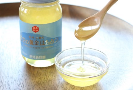 限定!天空の黄金はちみつ300g2個セット(百花蜜・アカシヤ) 非加熱 国産純粋はちみつ