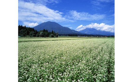 【通常配送】限定400個『奥信濃 黒姫 生(なま）そば』6食セット