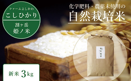 2025年収穫分、予約開始！割ケ岳 姫乃米3kg（信濃町精米 令和7年度産こしひかり 3kg×1袋）