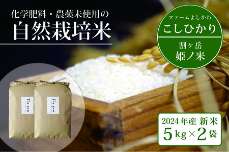 割ケ岳 姫乃米10kg（信濃町精米令和6年度産コシヒカリ5kg×2）