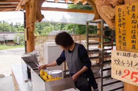 【2026年夏の予約受付開始！】 小林農園のとうもろこし（24～27本セット）信濃町産サニーショコラ｜令和8年8月上旬以降順次お届け予定 生産者直送 2026年夏出荷分 先行予約【長野県信濃町ふるさと納税】