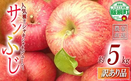【 訳あり品 】 りんご サンふじ 5kg ( 11玉 ～ 20玉 ) 訳あり ふじ リンゴ 島田フルーツ農園 沖縄県への配送不可 令和8年収穫分 2026年12月上旬から2027年1月下旬頃までお申込み順に発送予定 林檎 訳アリ わけあり 不揃い 果物 くだもの フルーツ 長野県産 長野 お試し 5キロ 長野県 飯綱町 [2072]