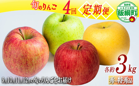 旬のりんご 【 定期便 】 秀 ～ 特秀 3kg × 4回 3キロ ( 8玉 ～ 12玉 ） 9月のりんご 10月のりんご 11月のりんご 12月のりんご 島田フルーツ農園 沖縄県への配送不可 2026年9月上旬頃から2026年12月下旬頃まで順次発送予定 令和8年度収穫分 長野県 飯綱町 [2074]
