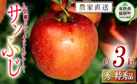 りんご サンふじ 秀  特秀 3kg 永野農園 沖縄県への配送不可 2025年12月上旬頃から2026年2月上旬頃まで順次発送予定 令和7年度収穫分 信州 果物 フルーツ リンゴ 林檎 長野 予約 農家直送 長野県 飯綱町 [0488]