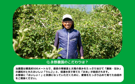 りんご サンふじ 秀  特秀 3kg 永野農園 沖縄県への配送不可 2025年12月上旬頃から2026年2月上旬頃まで順次発送予定 令和7年度収穫分 信州 果物 フルーツ リンゴ 林檎 長野 予約 農家直送 長野県 飯綱町 [0488]