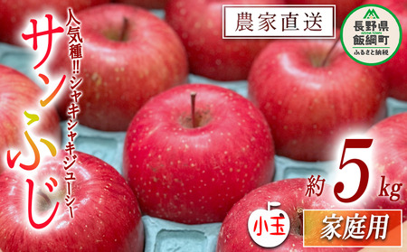 りんご サンふじ 家庭用 ( 小玉 ) 5kg 永野農園 沖縄県への配送不可