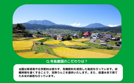 りんご サンふじ 秀 ～ 特秀 5kg 寺島農園 沖縄県への配送不可 2024年11月下旬頃から2025年1月中旬頃まで順次発送予定 令和6年度収穫分 信州 果物 フルーツ リンゴ 林檎 長野 予約 農家直送 長野県 飯綱町 [0313]