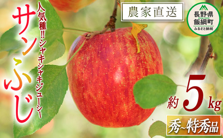 りんご サンふじ 秀 ~ 特秀 5kg 渡辺農園 沖縄県への配送不可 りんご サンふじ 秀 ~ 特秀 5kg 渡辺農園 沖縄県への配送不可