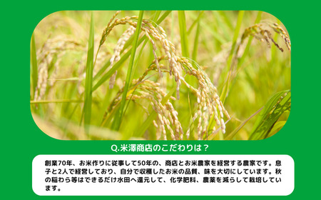 【令和6年度収穫分】信州飯綱町産　こしひかり（玄米）10kg×3回【3カ月定期便】 ※沖縄および離島への配送不可　※2024年10月上旬頃から順次発送予定　米澤商店[1370]