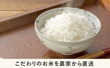 【令和6年度収穫分】信州飯綱町産　こしひかり（玄米）10kg×3回【3カ月定期便】 ※沖縄および離島への配送不可　※2024年10月上旬頃から順次発送予定　米澤商店[1370]