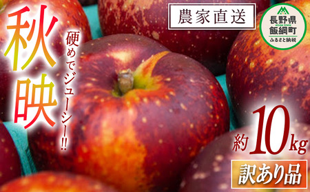 輸入品4/10 りんご様 ワンピース