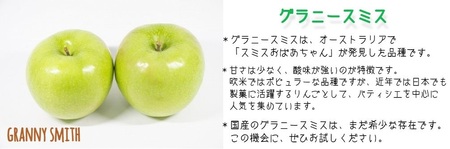 りんご グラニースミス 特選 3kg やまじゅうファーム 沖縄県への配送不可 2025年12月中旬頃から2026年1月下旬頃まで順次発送予定 令和7年度収穫分 信州の環境にやさしい農産物 減農薬栽培 長野県 飯綱町 [0530]