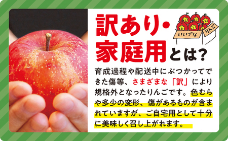 りんご サンふじ 訳あり 10kg ヤマハチ農園 沖縄県への配送不可 2023年