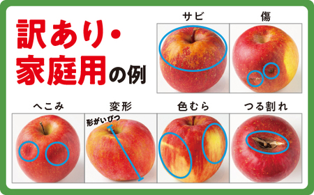 りんご サンふじ 訳あり 10kg ヤマハチ農園 沖縄県への配送不可 2023年