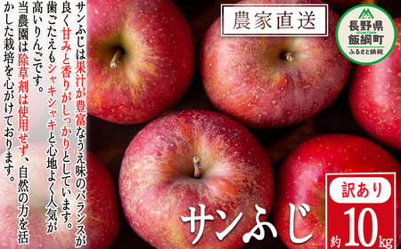 りんご サンふじ 訳あり 10kg 松澤農園 沖縄県への配送不可 2024年11月下旬頃から2025年2月上旬頃まで順次発送予定 令和6年度収穫分 長野県 飯綱町 [0503]