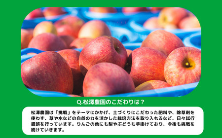 りんご サンふじ 訳あり 10kg 松澤農園 沖縄県への配送不可 2024年11月下旬頃から2025年2月上旬頃まで順次発送予定 令和6年度収穫分 長野県 飯綱町 [0503]