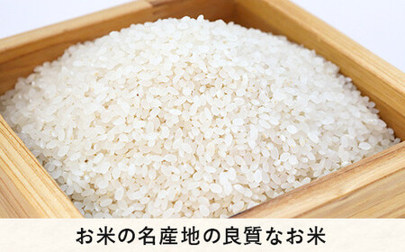 [0210]【令和6年度収穫分】信州産 こしひかり 5kg　※沖縄県への配送不可　※2024年11月上旬頃から順次発送予定　黒柳さんのはぜかけ米　長野県飯綱町