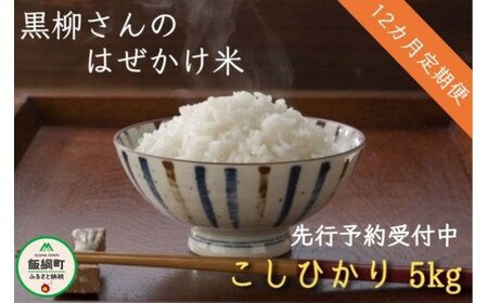 0647]【令和4年度収穫分】こしひかり 5kg×12回【12カ月定期便】 ※沖縄