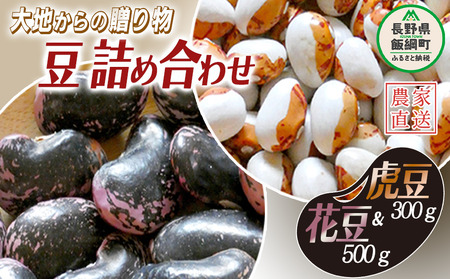 信州産 豆 2種類 詰め合わせ 800g ( 花豆 500g ＆ 虎豆 300g ) 上倉荘