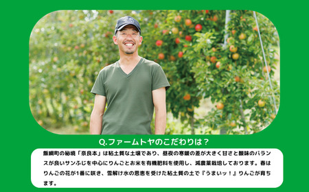 りんご サンふじ 家庭用 3kg ファームトヤ 沖縄県への配送不可 2024年11月中旬頃から2024年12月下旬頃まで順次発送予定 令和6年度収穫分 信州 果物 フルーツ リンゴ 林檎 ふじ 長野 10500円 予約 農家直送 長野県 飯綱町 [1426]