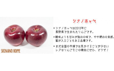 りんご シナノホッペ 家庭用 3kg ファームトヤ 沖縄県への配送不可 2024年11月上旬頃から2024年11月下旬頃まで順次発送予定 令和6年度収穫分 信州 果物 フルーツ リンゴ 林檎 長野 12000円 予約 農家直送 長野県 飯綱町 [1421]