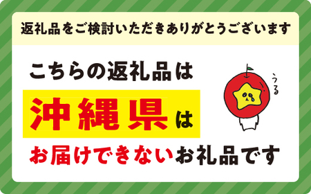 りんご サンふじ 家庭用 5kg ファームトヤ 沖縄県への配送不可 2024年11月中旬頃から2024年12月下旬頃まで順次発送予定 令和6年度収穫分 信州 果物 フルーツ リンゴ 林檎 ふじ 長野 13000円 予約 農家直送 長野県 飯綱町 [0959]