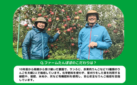 りんご サンふじ 訳あり 10kg ファームたんぽぽ 沖縄県への配送不可 2024年12月上旬頃から2024年12月下旬頃まで順次発送予定 令和6年度収穫分  長野県 飯綱町 [0554]