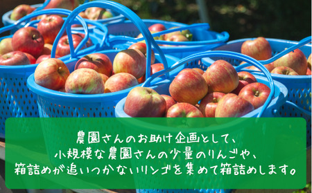 りんご 3種のりんご＜定期便＞ 家庭用・訳あり3kg×3回 農家応援企画 【令和7年度収穫分】※沖縄県への配送不可 ※2025年8月下旬頃から順次発送 長野県飯綱町[0794]