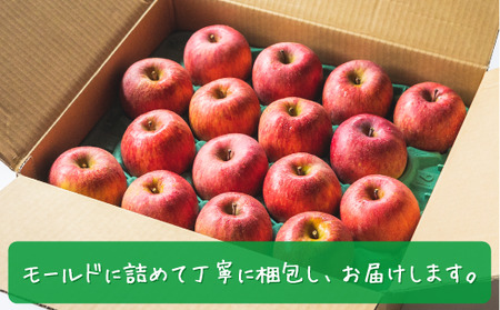 りんご 3種のりんご＜定期便＞ 家庭用・訳あり3kg×3回 農家応援企画 【令和7年度収穫分】※沖縄県への配送不可 ※2025年8月下旬頃から順次発送 長野県飯綱町[0794]