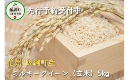 [1308]【令和6年度産】信州飯綱町産　ミルキークイーン【玄米】 5kg　発送：2024年10月より順次発送予定　なかまた農園