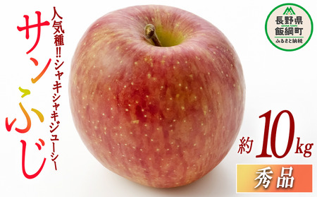 りんご サンふじ 秀 10kg 光センサー選別品 ながの農業協同組合