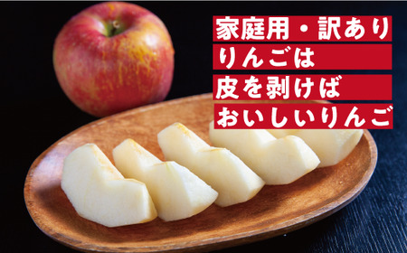りんご サンふじ 訳あり 10kg 原山農園 沖縄県への配送不可 2025年12月中旬頃から2026年2月上旬頃まで順次発送予定 令和7年度収穫分 傷 不揃い リンゴ 林檎 果物 フルーツ 信州 長野 予約 農家直送 長野県 飯綱町 [0270]
