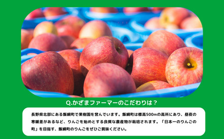 りんご 葉とらず サンふじ 訳あり 10kg かざまファーマー 沖縄県への配送不可 2024年11月中旬頃から2025年3月中旬頃まで順次発送予定 令和6年度収穫分 傷 不揃い リンゴ 林檎 果物 フルーツ 信州 長野 19500円 予約 農家直送 長野県 飯綱町 [0258]