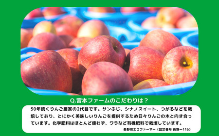 りんご サンつがる 訳あり 10kg 令和8年度収穫分 沖縄県への配送不可 2026年9月上旬頃から2026年9月中旬頃まで順次発送予定 宮本ファーム エコファーマー 減農薬栽培 津軽 つがる 傷 変形 サビ あり 長野県 飯綱町 [1530]