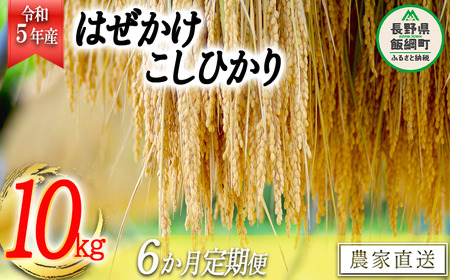 米 こしひかり 10kg × 6回 【 6か月 定期便 】( 令和5年産 ) 黒柳さんのお米 はぜかけ 沖縄県への配送不可 2023年11月上旬頃から順次発送予定 コシヒカリ 白米 精米 お米 信州 150000円 予約 農家直送 長野県 飯綱町 [1595]