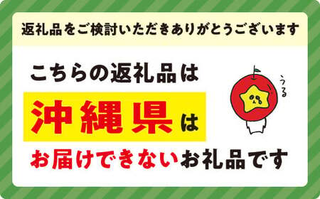 りんご サンふじ 極選 3kg マルハ農園 沖縄県への配送不可 2024年12月上旬頃から2024年12月下旬頃まで順次発送予定 令和6年度収穫分 エコファーマー認定 信州 果物 フルーツ リンゴ 林檎 長野 14000円 予約 農家直送 長野県 飯綱町 [1638]