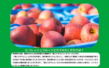 りんご 葉とらず サンふじ 訳あり 3kg フレッシュフルーツミカズキ 沖縄県への配送不可 2024年11月中旬頃から2025年1月下旬頃まで順次発送予定 令和6年度収穫分 傷 不揃い リンゴ 林檎 果物 フルーツ 信州 長野 11000円 予約 農家直送 長野県 飯綱町 [1667]